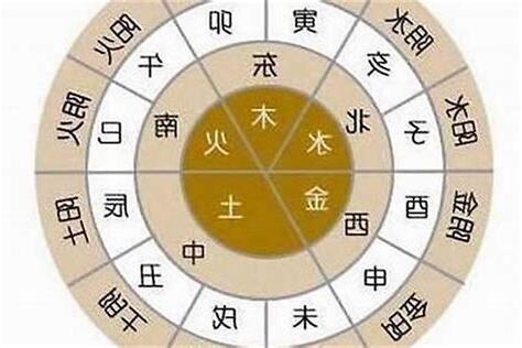 生肖 金木水火土